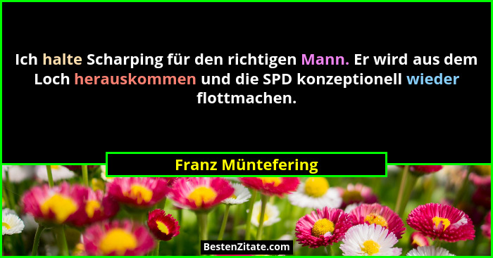 Ich halte Scharping für den richtigen Mann. Er wird aus dem Loch herauskommen und die SPD konzeptionell wieder flottmachen.... - Franz Müntefering
