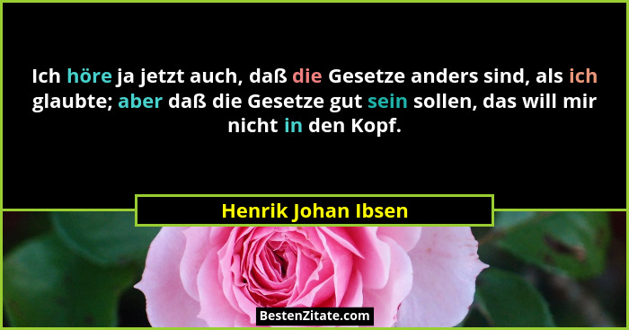 Ich höre ja jetzt auch, daß die Gesetze anders sind, als ich glaubte; aber daß die Gesetze gut sein sollen, das will mir nicht in... - Henrik Johan Ibsen