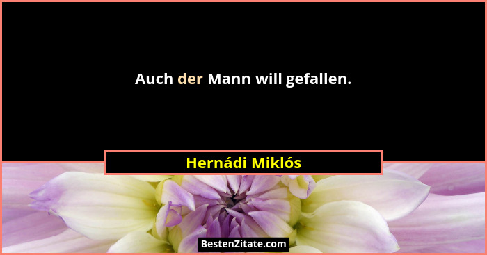 Auch der Mann will gefallen.... - Hernádi Miklós