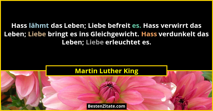 Hass lähmt das Leben; Liebe befreit es. Hass verwirrt das Leben; Liebe bringt es ins Gleichgewicht. Hass verdunkelt das Leben; Li... - Martin Luther King