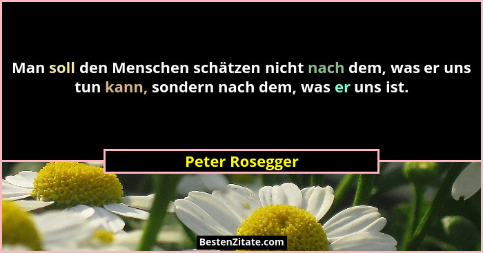 Man soll den Menschen schätzen nicht nach dem, was er uns tun kann, sondern nach dem, was er uns ist.... - Peter Rosegger