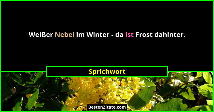 Weißer Nebel im Winter - da ist Frost dahinter.... - Sprichwort
