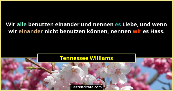 Wir alle benutzen einander und nennen es Liebe, und wenn wir einander nicht benutzen können, nennen wir es Hass.... - Tennessee Williams