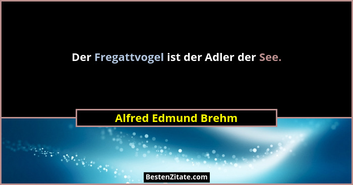 Der Fregattvogel ist der Adler der See.... - Alfred Edmund Brehm