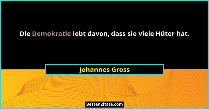 Die Demokratie lebt davon, dass sie viele Hüter hat.... - Johannes Gross
