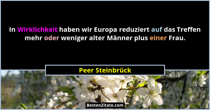 In Wirklichkeit haben wir Europa reduziert auf das Treffen mehr oder weniger alter Männer plus einer Frau.... - Peer Steinbrück