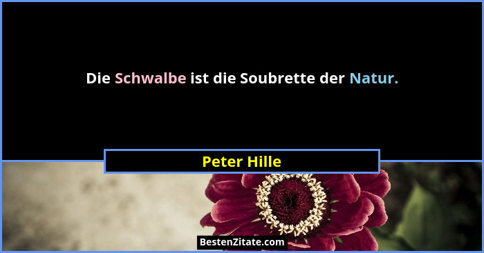 Die Schwalbe ist die Soubrette der Natur.... - Peter Hille