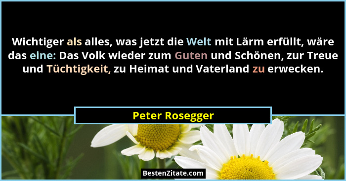 Wichtiger als alles, was jetzt die Welt mit Lärm erfüllt, wäre das eine: Das Volk wieder zum Guten und Schönen, zur Treue und Tüchtig... - Peter Rosegger