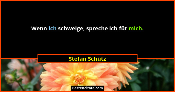 Wenn ich schweige, spreche ich für mich.... - Stefan Schütz