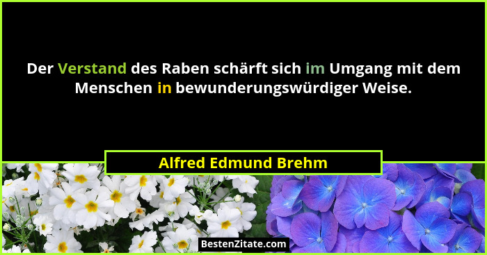 Der Verstand des Raben schärft sich im Umgang mit dem Menschen in bewunderungswürdiger Weise.... - Alfred Edmund Brehm
