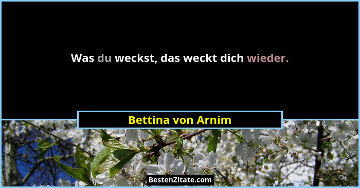 Was du weckst, das weckt dich wieder.... - Bettina von Arnim