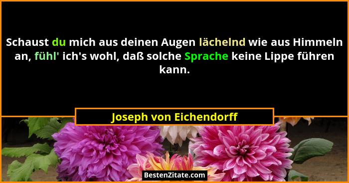 Schaust du mich aus deinen Augen lächelnd wie aus Himmeln an, fühl' ich's wohl, daß solche Sprache keine Lippe führen... - Joseph von Eichendorff