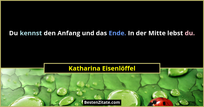 Du kennst den Anfang und das Ende. In der Mitte lebst du.... - Katharina Eisenlöffel