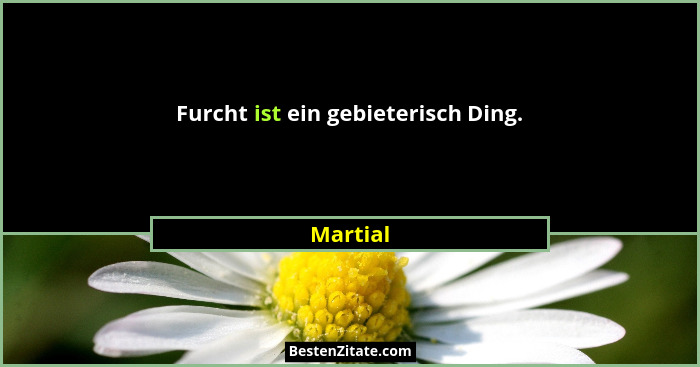 Furcht ist ein gebieterisch Ding.... - Martial