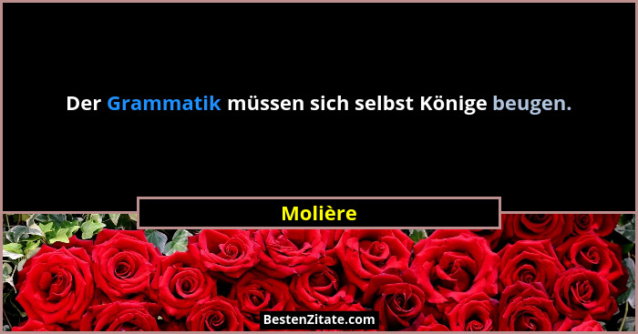 Der Grammatik müssen sich selbst Könige beugen.... - Molière