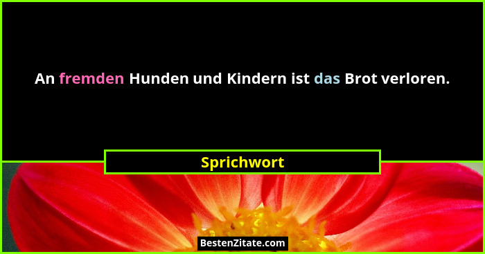 An fremden Hunden und Kindern ist das Brot verloren.... - Sprichwort