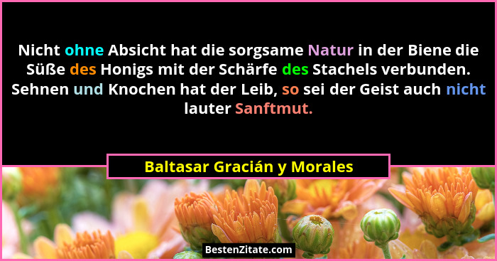 Nicht ohne Absicht hat die sorgsame Natur in der Biene die Süße des Honigs mit der Schärfe des Stachels verbunden. Sehnen... - Baltasar Gracián y Morales
