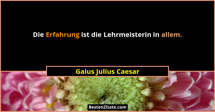 Die Erfahrung ist die Lehrmeisterin in allem.... - Gaius Julius Caesar