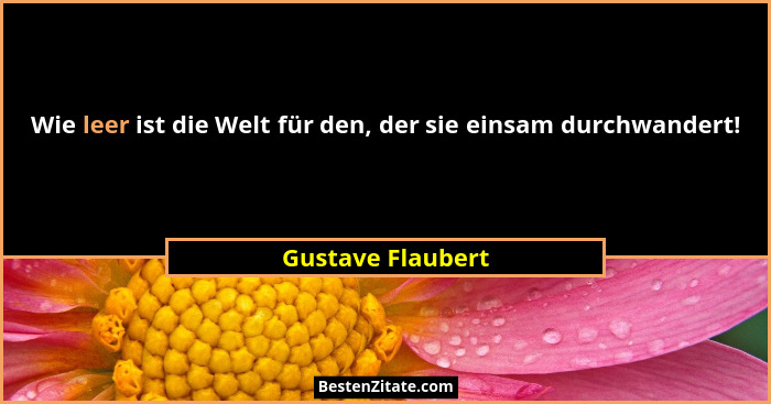 Wie leer ist die Welt für den, der sie einsam durchwandert!... - Gustave Flaubert