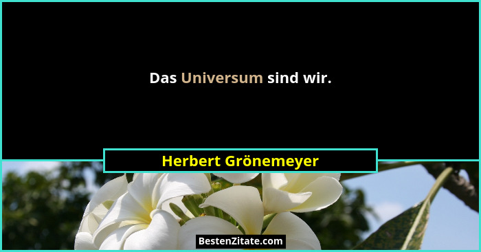 Das Universum sind wir.... - Herbert Grönemeyer