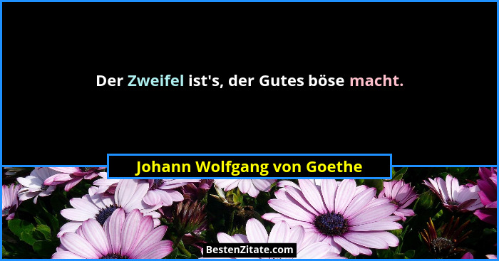 Der Zweifel ist's, der Gutes böse macht.... - Johann Wolfgang von Goethe