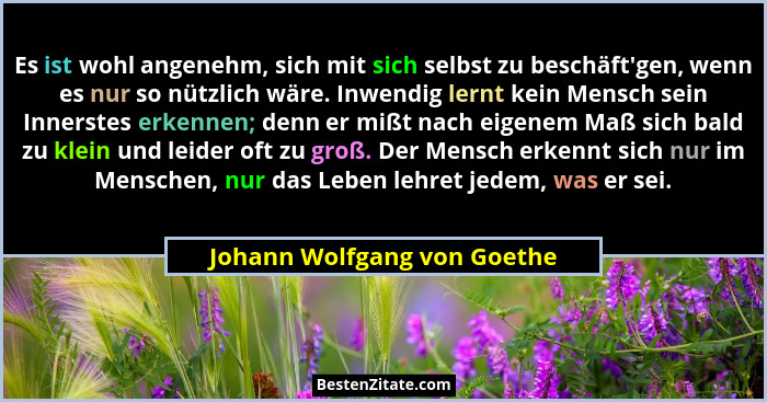 Es ist wohl angenehm, sich mit sich selbst zu beschäft'gen, wenn es nur so nützlich wäre. Inwendig lernt kein Mensch... - Johann Wolfgang von Goethe