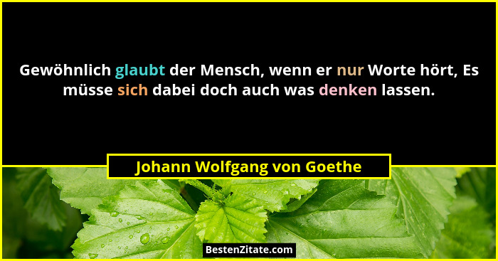 Gewöhnlich glaubt der Mensch, wenn er nur Worte hört, Es müsse sich dabei doch auch was denken lassen.... - Johann Wolfgang von Goethe