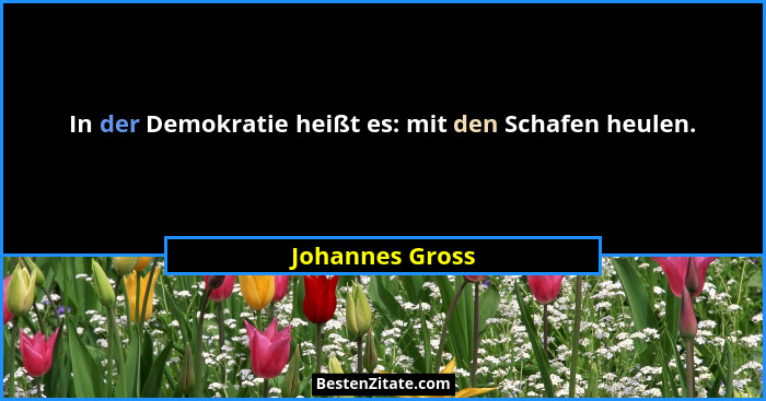In der Demokratie heißt es: mit den Schafen heulen.... - Johannes Gross