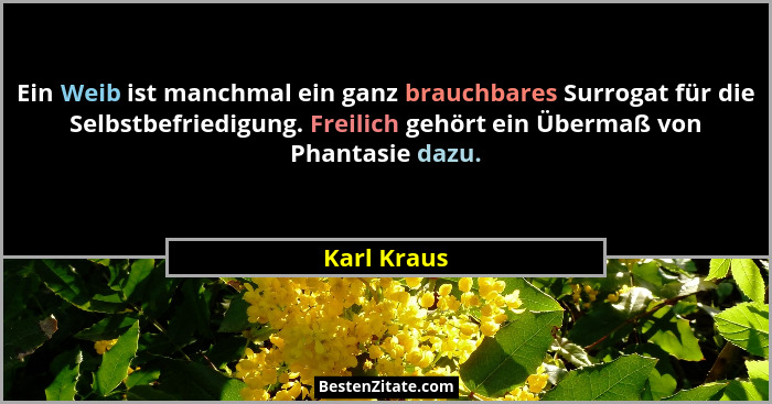 Ein Weib ist manchmal ein ganz brauchbares Surrogat für die Selbstbefriedigung. Freilich gehört ein Übermaß von Phantasie dazu.... - Karl Kraus