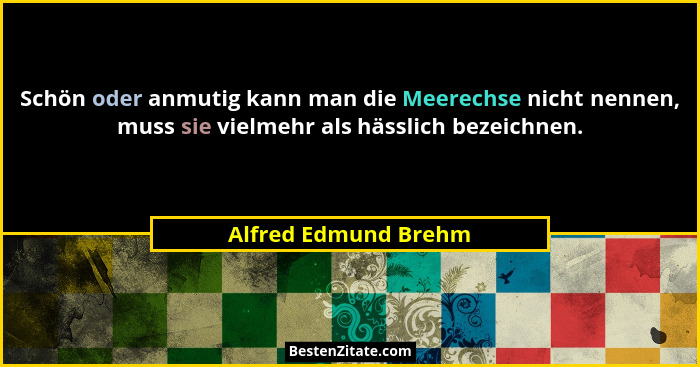 Schön oder anmutig kann man die Meerechse nicht nennen, muss sie vielmehr als hässlich bezeichnen.... - Alfred Edmund Brehm