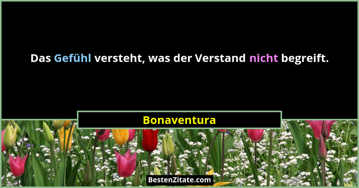 Das Gefühl versteht, was der Verstand nicht begreift.... - Bonaventura