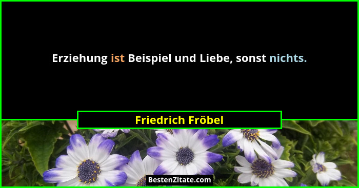 Erziehung ist Beispiel und Liebe, sonst nichts.... - Friedrich Fröbel