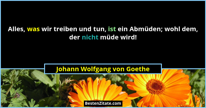 Alles, was wir treiben und tun, ist ein Abmüden; wohl dem, der nicht müde wird!... - Johann Wolfgang von Goethe