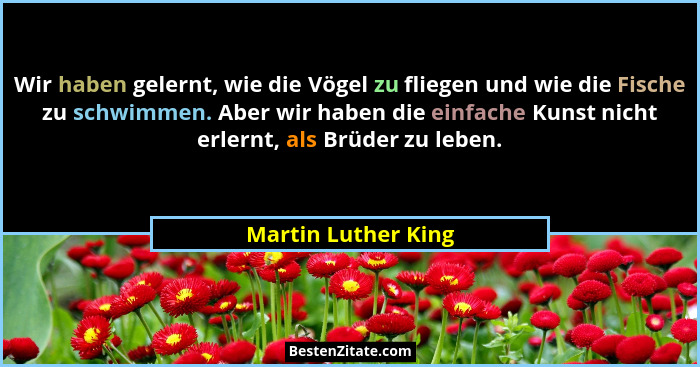 Wir haben gelernt, wie die Vögel zu fliegen und wie die Fische zu schwimmen. Aber wir haben die einfache Kunst nicht erlernt, als... - Martin Luther King
