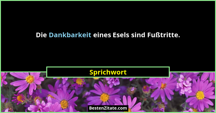 Die Dankbarkeit eines Esels sind Fußtritte.... - Sprichwort
