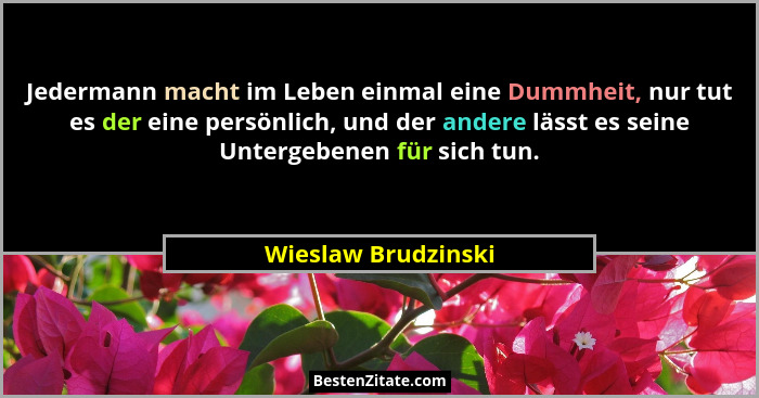 Jedermann macht im Leben einmal eine Dummheit, nur tut es der eine persönlich, und der andere lässt es seine Untergebenen für sic... - Wieslaw Brudzinski