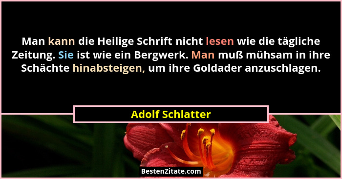 Man kann die Heilige Schrift nicht lesen wie die tägliche Zeitung. Sie ist wie ein Bergwerk. Man muß mühsam in ihre Schächte hinabst... - Adolf Schlatter