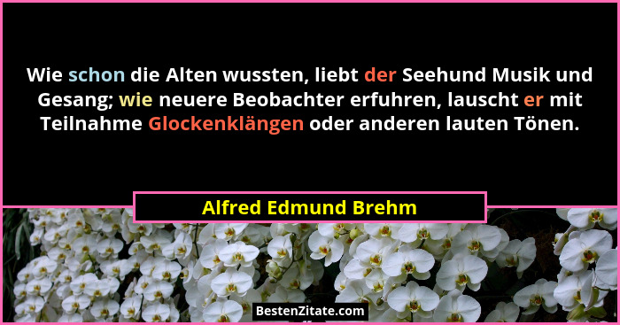 Wie schon die Alten wussten, liebt der Seehund Musik und Gesang; wie neuere Beobachter erfuhren, lauscht er mit Teilnahme Glocke... - Alfred Edmund Brehm