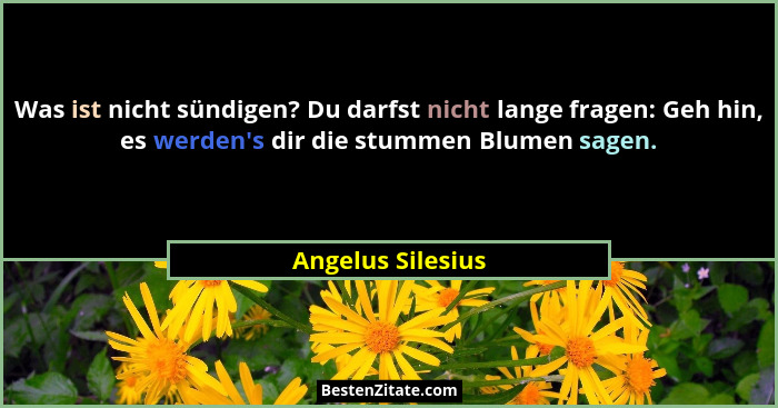 Was ist nicht sündigen? Du darfst nicht lange fragen: Geh hin, es werden's dir die stummen Blumen sagen.... - Angelus Silesius