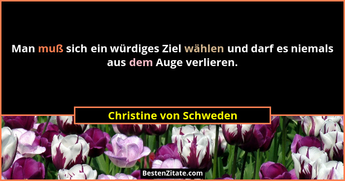 Man muß sich ein würdiges Ziel wählen und darf es niemals aus dem Auge verlieren.... - Christine von Schweden