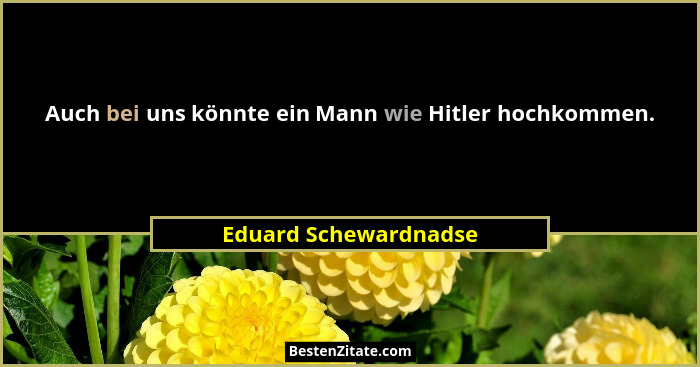Auch bei uns könnte ein Mann wie Hitler hochkommen.... - Eduard Schewardnadse