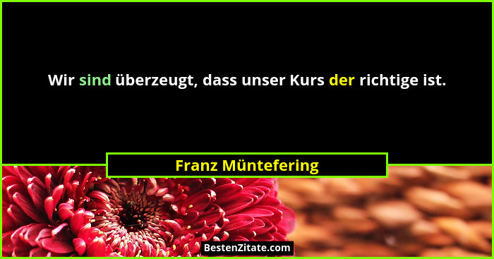 Wir sind überzeugt, dass unser Kurs der richtige ist.... - Franz Müntefering