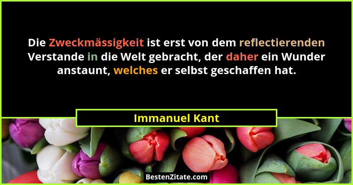 Die Zweckmässigkeit ist erst von dem reflectierenden Verstande in die Welt gebracht, der daher ein Wunder anstaunt, welches er selbst... - Immanuel Kant