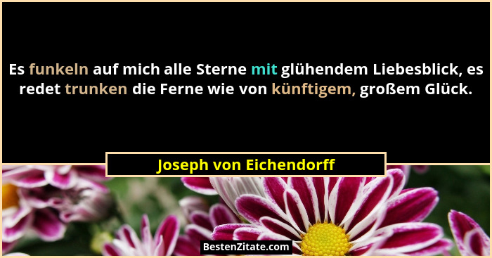 Es funkeln auf mich alle Sterne mit glühendem Liebesblick, es redet trunken die Ferne wie von künftigem, großem Glück.... - Joseph von Eichendorff