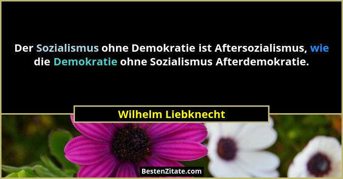 Der Sozialismus ohne Demokratie ist Aftersozialismus, wie die Demokratie ohne Sozialismus Afterdemokratie.... - Wilhelm Liebknecht
