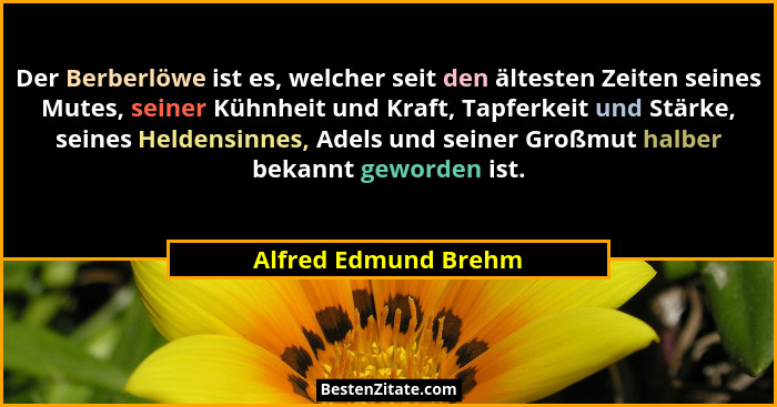 Der Berberlöwe ist es, welcher seit den ältesten Zeiten seines Mutes, seiner Kühnheit und Kraft, Tapferkeit und Stärke, seines H... - Alfred Edmund Brehm