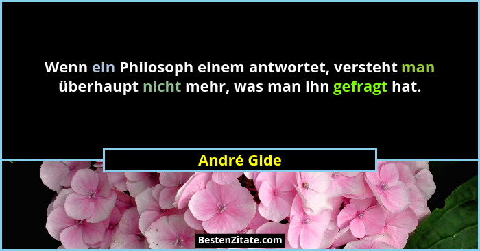 Wenn ein Philosoph einem antwortet, versteht man überhaupt nicht mehr, was man ihn gefragt hat.... - André Gide