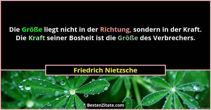 Die Größe liegt nicht in der Richtung, sondern in der Kraft. Die Kraft seiner Bosheit ist die Größe des Verbrechers.... - Friedrich Nietzsche