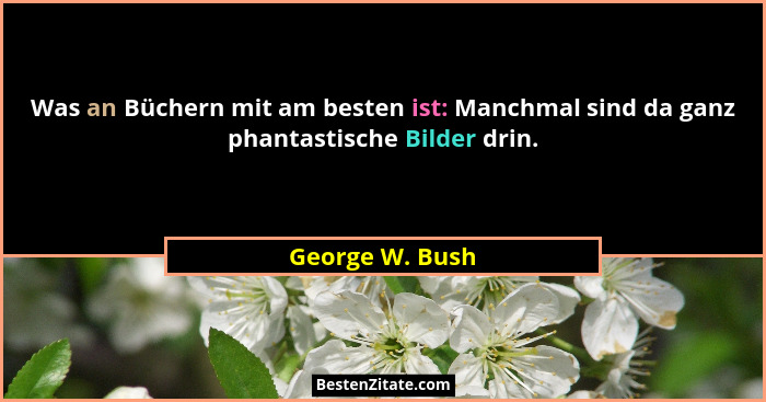 Was an Büchern mit am besten ist: Manchmal sind da ganz phantastische Bilder drin.... - George W. Bush