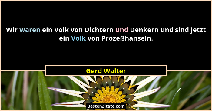 Wir waren ein Volk von Dichtern und Denkern und sind jetzt ein Volk von Prozeßhanseln.... - Gerd Walter